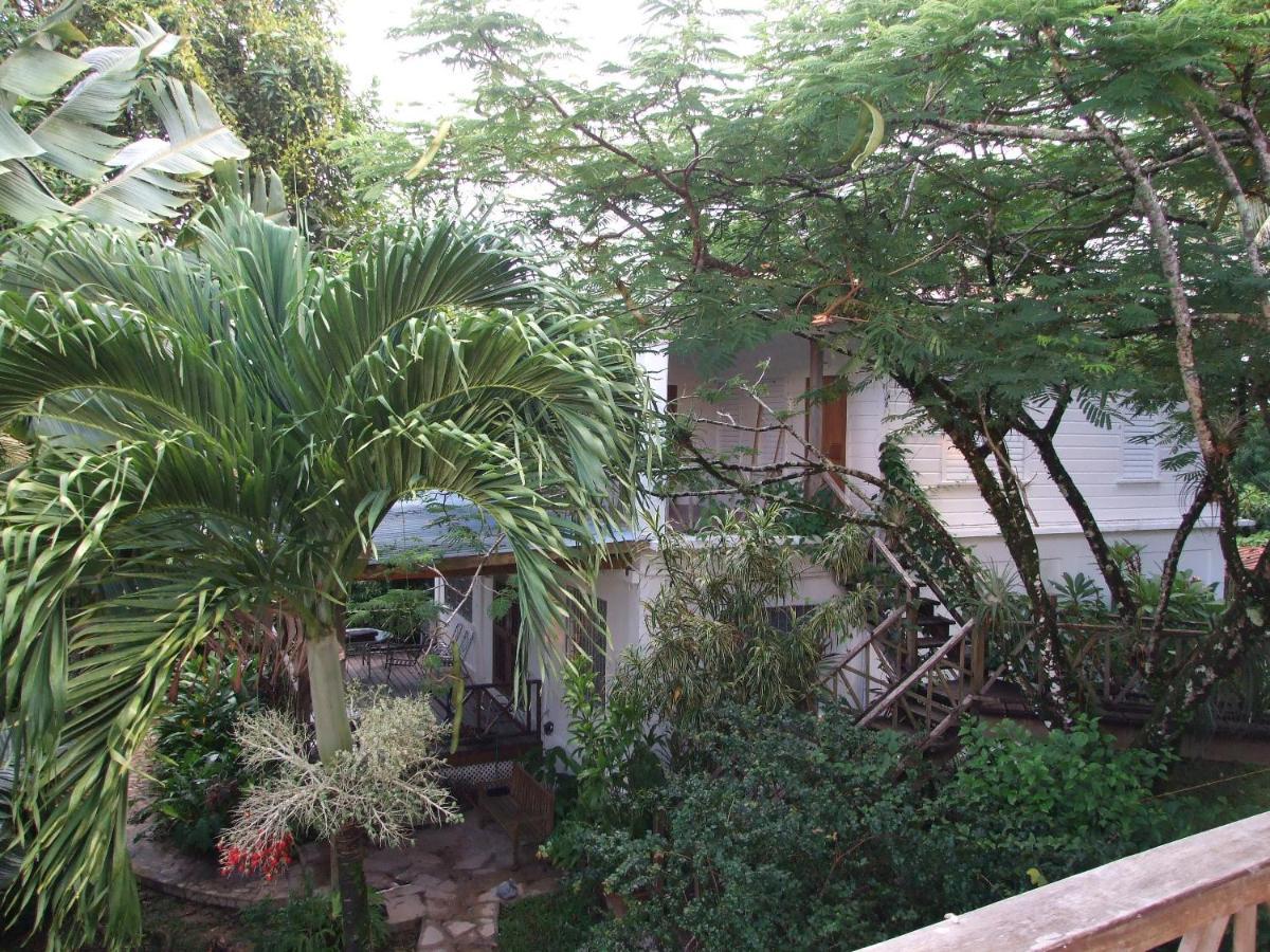 Bluebelize B&B Punta Gorda Extérieur photo