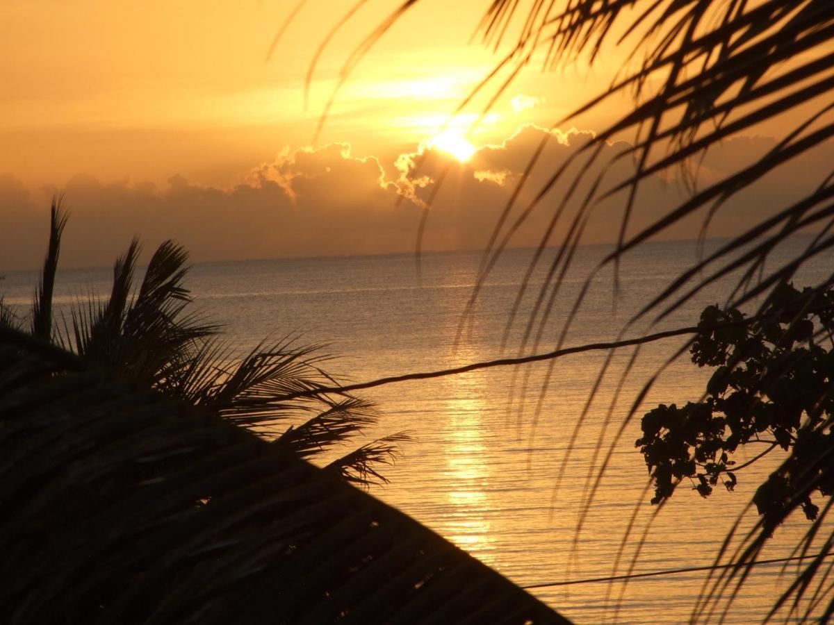 Bluebelize B&B Punta Gorda Extérieur photo